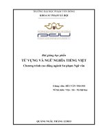 Từ vựng   ngữ nghĩa tiếng việt 