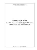Tài liệu tập huấn các bộ luật, luật được quốc hội khóa XIII, kỳ họp thứ 10 thông qua
