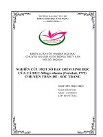 Nghiên cứu một số đặc điểm sinh học của cá đục sillago sihama (forsskal, 1775) ở huyện trần đề   sóc trăn 