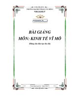 Kinh tế vĩ mô bài giảng, giáo trình dành cho sinh viên đại học, cao đẳng