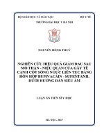 Nghiên cứu hiệu quả giảm đau sau mổ thận  niệu quản của gây tê cạnh cột sống ngực liên tục bằng hỗn hợp bupivacain  sufentanil dưới hướng dẫn siêu âm (LA tiến sĩ)