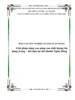 Báo cáo tốt nghiệp Ngân hàng, giải pháp nâng cao nâng cao chất lượng tín dụng trung – dài hạn tại chi nhánh Ngân Hàng