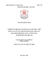 Nghiên cứu hiệu quả giảm đau sau mổ thận   niệu quản của gây tê cạnh cột sống ngực liên tục bằng hỗn hợp bupivacain   sufentanil dưới hướng dẫn siêu âm ( 