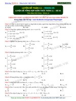 01 LUYEN DE TOAN 11 de 01 FB 1