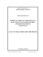 Nghiên cứu hiệu quả mô hình xử lý nước thải từ quá trình chế biến tinh bột Dong Riềng tại Bắc Kạn (LV thạc sĩ)