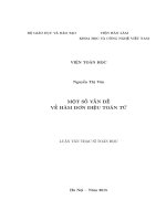 Một số vấn đề về hàm đơn điệu toán tử (LV thạc sĩ)