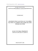 Giải pháp nâng cao năng lực tài chính tạo công ty cổ phần Viglacera Hạ Long, tỉnh Quảng Ninh (LV thạc sĩ)