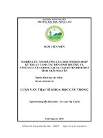 Nghiên cứu ảnh hưởng của một số biện pháp kỹ thuật canh tác đến sinh trưởng và năng suất của giống lạc L14 tại huyện Định Hoá – tỉnh Thái Nguyên (LV thạc sĩ)