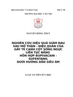 Nghiên cứu hiệu quả giảm đau sau mổ thận   niệu quản của gây tê cạnh cột sống ngực liên tục bằng hỗn hợp bupivacain   sufentanil dưới hướng dẫn siêu âm 