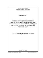 Nghiên cứu phát triển loài cây Tre mai (Dendrocalamus cauhainensis N.H. Xia, V.T. Nguyen) tại xã Lâm Thượng huyện Lục Yên tỉnh Yên Bái (LV thạc sĩ)
