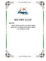 PHÂN TÍCH NGUỒN LỰC PHÁT TRIỂN KINH TẾ VÀ CHÍNH SÁCH PHÁT TRIỂN CỦA TỈNH ĐÀ NẲNG