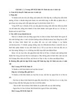 Giải bài tập trang 105 SGK Sinh học lớp 10: Sinh sản của vi sinh vật 