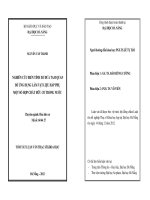 Nghiên cứu biến tính xơ dừa Tam Quan để ứng dụng làm vật liệu hấp thụ một số hợp chất hữu cơ trong nước