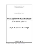 Nghiên cứu cơ sở khoa học phục hồi rừng phòng hộ đầu nguồn trên đất sau canh tác nương rẫy thuộc lưu vực sông cầu, tỉnh Bắc Kạn (LA tiến sĩ)