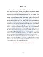 Giải pháp hoàn thiện kênh phân phối sản phẩm măng cụt tại huyện cầu kè, tỉnh trà vinh (tóm tắt - trích đoạn)