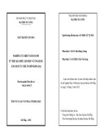 Nghiên cứu chiết tách Tanin từ thịt quả điều lộn hột và ứng dụng làm chất ức chế ăn mòn kim loại