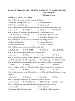 Đề thi học kì 1 môn Sinh học lớp 10 trường THPT Phan Ngọc Hiển, Cà Mau năm học 2016  2017 