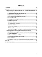 Chiến lược thâm nhập thị trường của các công ty đa quốc gia (MNCs) và hoạt động đầu tư của samsung vào thị trường việt nam 
