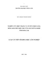 Nghiên cứu hiện trạng và tuyển chọn loài, dòng keo phù hợp cho vùng đất rừng khộp tỉnh đắk lắk 