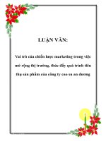 Vai trò của chiến lược marketing trong việc mở rộng thị trường, thúc đẩy quá trình tiêu thụ sản phẩm của công ty cao su an dương