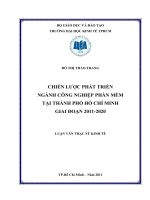 Chiến lược phát triển ngành công nghiệp phần mềm tại thành phố hồ chí minh 