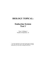 4Endocrine system test  w  solutions 