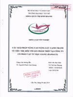 Các giải pháp nâng cao năng lực cạnh tranh về tiêu thụ đối với sản phẩm thép tại công ty cổ phần vật tư hậu giang (HAMACO) 