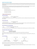 PHÂN TÍCH CHỈ số tài CHÍNH