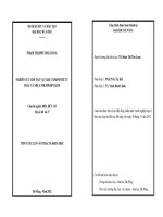 Nghiên cứu chế tạo vật liệu Composite từ trấu và nhựa Polypropylene