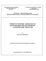 From economic growth to sustainable development lessons for vietnam 