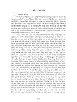 TIỂU LUẬN BÌNH DIỆN NGỮ NGHĨA HỌC