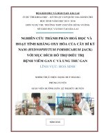 skkn NGHIÊN cứu THÀNH PHẦN HOÁ học và HOẠT TÍNH KHÁNG OXY hóa của cây bí kỳ NAM (HYDNOPHYTUM FORMICARUM JACK) với mục ĐÍCH hỗ TRỢ điều TRỊ BỆNH VIÊM GAN c và UNG THƯ GAN