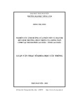 Nghiên cứu ảnh hưởng của phân nén và mật độ đến sinh trưởng, phát triển của giống ngô CP989 tại xã San Thàng, thành phố Lai Châu, tỉnh Lai Châu (LV thạc sĩ)