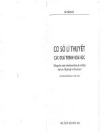 Co so li thuyet cac qua trinh hoa hoc