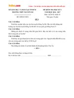 Đề thi học kì 1 môn Lịch sử lớp 10 trường THPT Nguyễn Du, TP Hồ Chí Minh năm học 2016  2017 