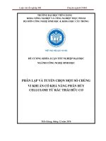 Phân lập và tuyển chọn dòng vi khuẩn có khả năng phân giải cellulose 20 1 2017