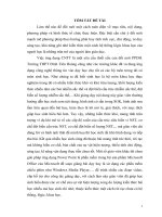 skkn ứng dụng phần mềm conceptdraw mindmap và violet thiết kế dạy học chuyên đề nhiễm sắc thể (bài 5, 6 SGK sinh học 12 ban cơ bản)  