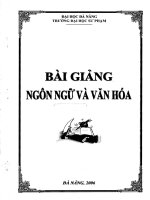 BAI GIANG   NGON NGU VA VAN HOA