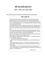 Đề ôn tập đọc hiểu cuối học kì II lớp 5