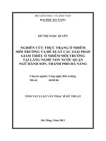 Nghiên cứu hiện trạng ô nhiễm môi trường và đề xuất các giải pháp giảm thiểu ô nhiễm môi trường tại làng nghề Non Nước quận Ngũ Hành Sơn, thành phố Đà Nẵng