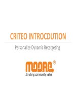 Criteo Introcdution – Personalize Dynamic Retargeting