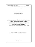 Thực trạng phụ nữ mang thai nhiễm HIV và kết quả thực hiện dự phòng lây truyền HIV từ mẹ sang con tại một số cơ sở sản khoa khu vực phía Bắc, 20062013 (LA tiến sĩ)