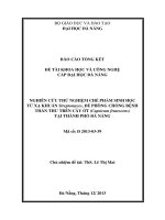 Nghiên cứu thử nghiệm chế phẩm sinh học từ xạ khuẩn Streptomyces, để phòng chống bệnh thán thư trên cây ớt (Capsicum frutescens) tại thành phố Đà Nẵng