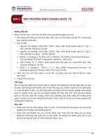 MÔI TRƯỜNG KINH DOANH QUỐC TẾ