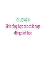 Sinh tổng hợp các chất hoạt động sinh học