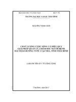 Chất lượng cuộc sống và hiệu quả giải pháp quản lý, chăm sóc người bệnh Đái tháo đường type 2 tại nhà, tỉnh Thái Bình (LA tiến sĩ)