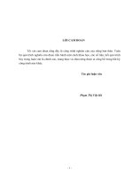 THIẾT KẾ CƠ SỞ DỮ LIỆU PHỤC VỤ QUẢN LÝ CƠ SỞ HẠ TẦNG TỈNH LÀO CAI