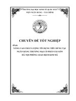 Nâng cao chất lượng tín dụng tiêu dùng tại ngân hàng TMCP sài gòn –hà nội (PGD kim mã) 