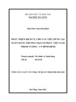 Phát triển dịch vụ cho vay tiêu dùng tại ngân hàng thương mại Cổ phần Việt Nam Thịnh Vượng - CN Bình Địn