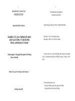 Nghiên cứu quá trình lên men axit gluconic từ rỉ đường bằng Aspergillus niger